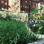 Top Lodge Apartments