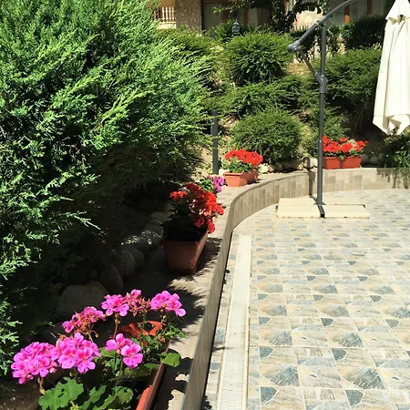 Top Lodge Apartments Bansko