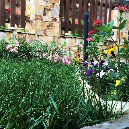 Top Lodge Apartments