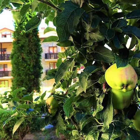 Top Lodge Apartments Bansko