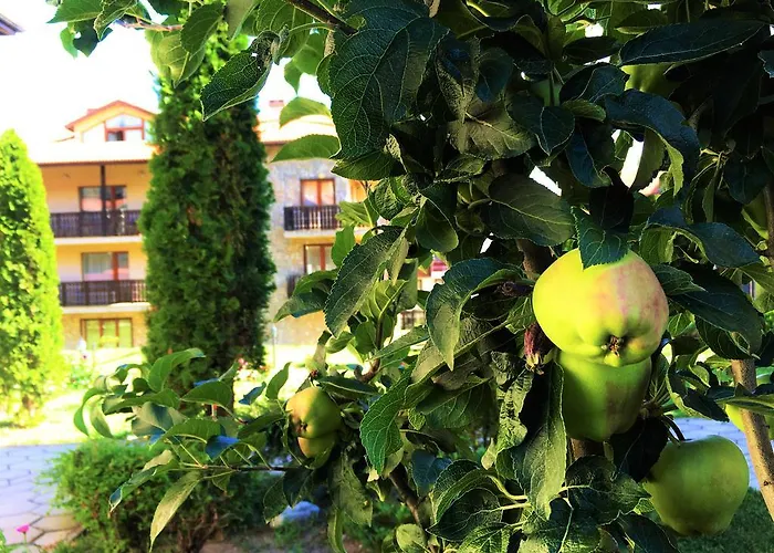 Top Lodge Apartments Bansko